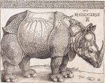 "Rhinoceros" by Albrecht Durer, 16th century...